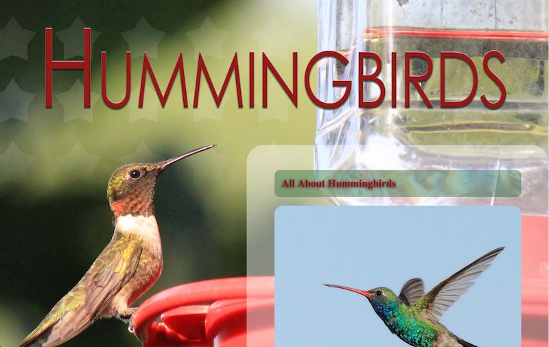 Sandbox.leighcotnoir.com:studentwork:beginningweb:03 Image Prep:su14 2 Hummingbirds: